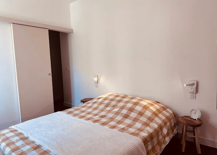 公寓 Urban Nest - Hypercentre 克莱蒙费朗